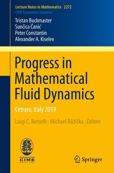 Produktbild: Progress in Mathematical Fluid Dynamics