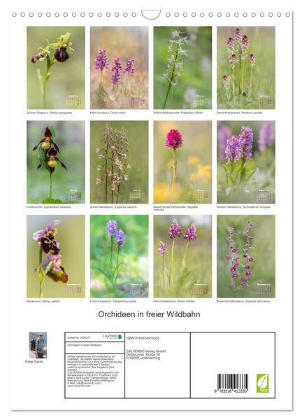 Produktbild: Orchideen in freier Wildbahn (Wandkalender 2026 DIN A3 hoch), CALVENDO Monatskalender