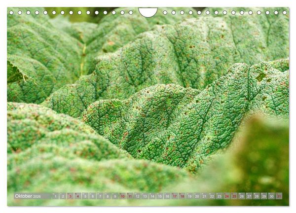 Produktbild: Bekanntes und Unbekanntes Patagonien (Wandkalender 2026 DIN A4 quer), CALVENDO Monatskalender