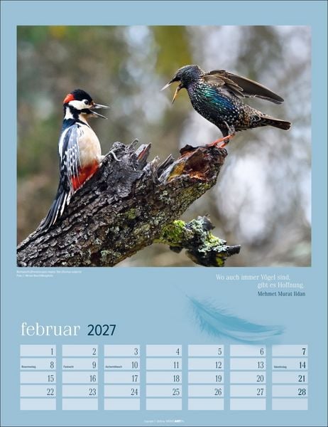 Produktbild: Heimische V&ouml;gel Kalender 2027