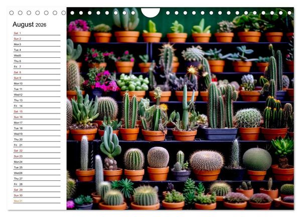 Produktbild: Cacti Wonderland (Wall Calendar 2026 DIN A4 landscape), CALVENDO 12 Month Wall Calendar