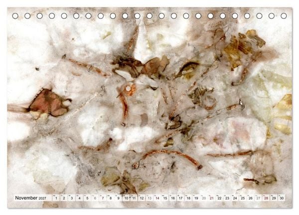 Produktbild: Botanical Printing - Magische Pflanzendrucke (Tischkalender 2027 DIN A5 quer), CALVENDO Monatskalender