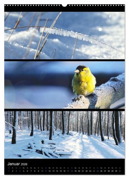 Produktbild: Bezaubernde Farben der Natur (Wandkalender 2026 DIN A2 hoch), CALVENDO Monatskalender