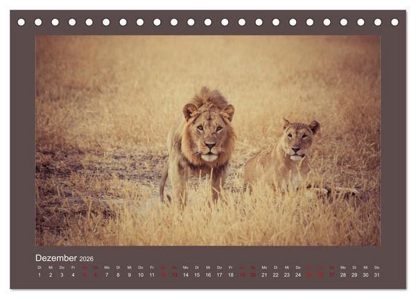 Produktbild: Tansania - Mensch, Tier und Landschaft (Tischkalender 2026 DIN A5 quer), CALVENDO Monatskalender