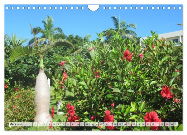 Produktbild: Ishigaki & Miyako - Subtropisches Inselparadies im S&uuml;den Japans (Wandkalender 2026 DIN A4 quer), CALVENDO Monatskalender