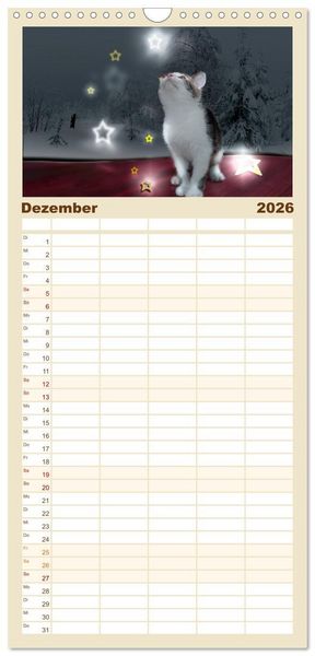 Produktbild: Familienplaner 2026 - Katzenbabys beobachtet mit 5 Spalten (Wandkalender, 21 x 45 cm) CALVENDO