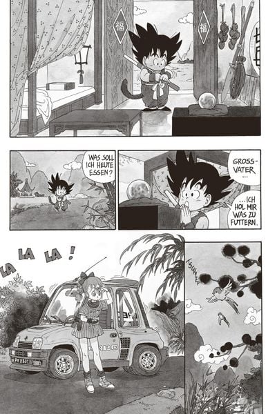 Produktbild: Dragon Ball Massiv 1