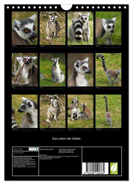 Produktbild: Das Leben der Kattas (Wandkalender 2027 DIN A4 hoch), CALVENDO Monatskalender