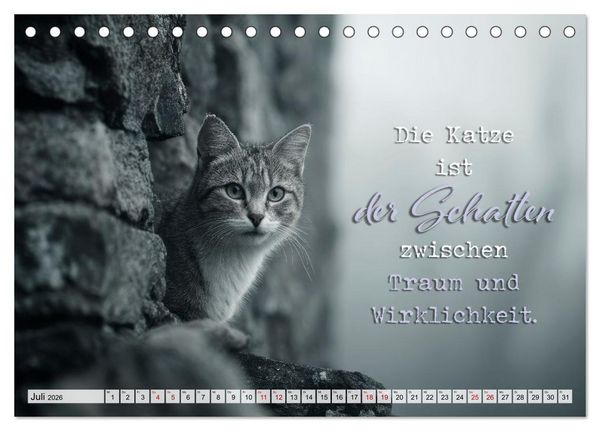 Produktbild: Katzenpoesie - Herzber&uuml;hrende Verse (Tischkalender 2026 DIN A5 quer), CALVENDO Monatskalender