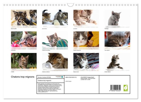 Produktbild: Chatons trop mignons (Calendrier mural 2026 DIN A3 vertical), CALVENDO calendrier mensuel