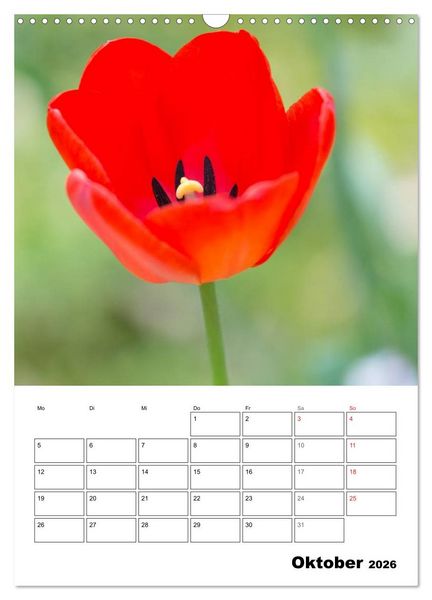 Produktbild: Farben der Natur (Wandkalender 2026 DIN A3 hoch), CALVENDO Monatskalender