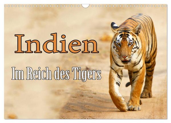 Produktbild: Indien - Im Reich des Tigers (Wandkalender 2026 DIN A3 quer), CALVENDO Monatskalender