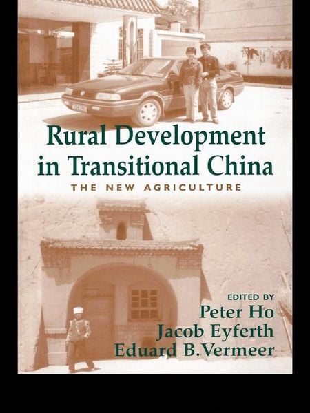 Produktbild: Rural Development in Transitional China