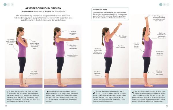 Produktbild: Die kleine Yoga-Schule