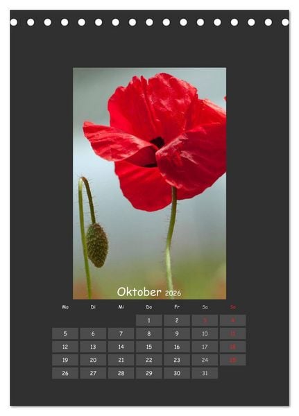Produktbild: Mohn (Tischkalender 2026 DIN A5 hoch), CALVENDO Monatskalender