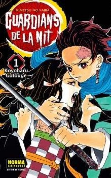 Produktbild: Guardians de la nit 01