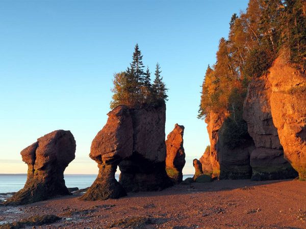 Produktbild: CALVENDO Puzzle Hopewell Rocks, Bay of Fundy | 1000 Teile Lege-Gr&ouml;&szlig;e 64x48cm Foto-Puzzle f&uuml;r gl&uuml;ckliche Stunden