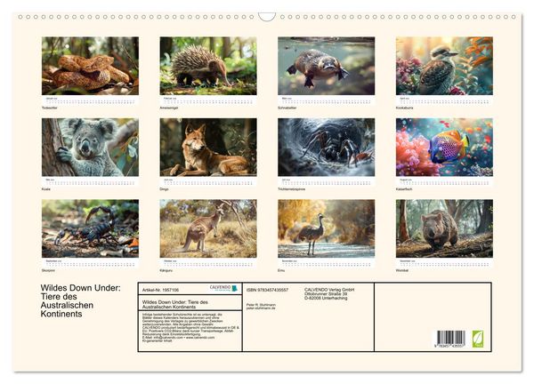Produktbild: Wildes Down Under: Tiere des Australischen Kontinents (Wandkalender 2026 DIN A2 quer), CALVENDO Monatskalender