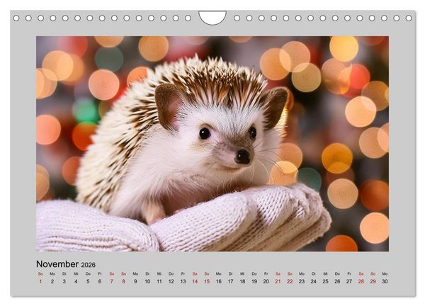 Produktbild: Mein Igel-Kalender (Wandkalender 2026 DIN A4 quer), CALVENDO Monatskalender