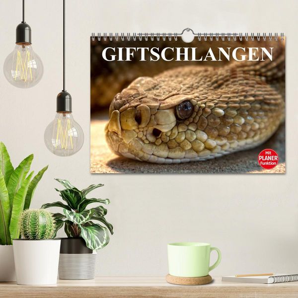 Produktbild: Giftschlangen (Wandkalender 2026 DIN A4 quer), CALVENDO Monatskalender