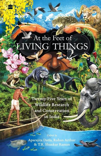 Produktbild: At The Feet Of Living Things