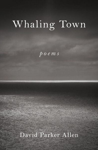 Produktbild: Whaling Town