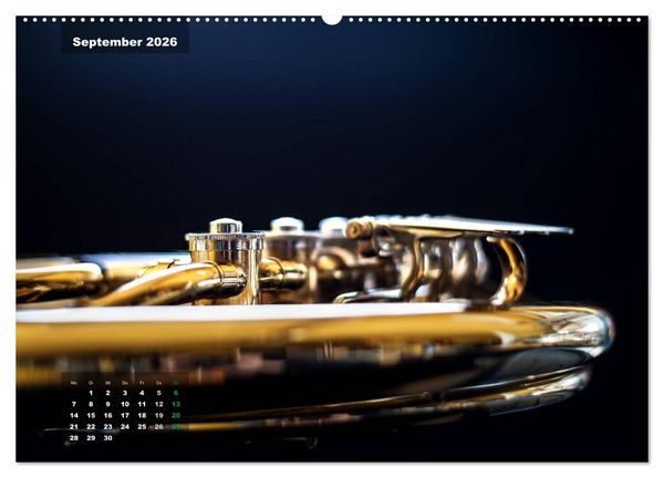 Produktbild: Das Horn, ein herrliches Instrument (hochwertiger Premium Wandkalender 2026 DIN A2 quer), Kunstdruck in Hochglanz