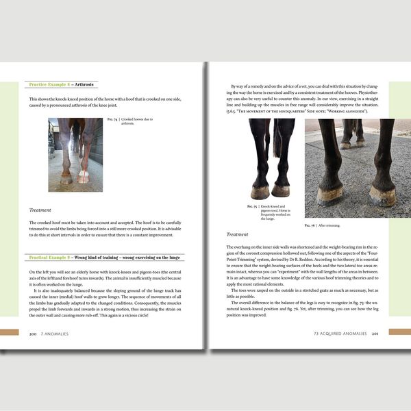 Produktbild: Hoofwork