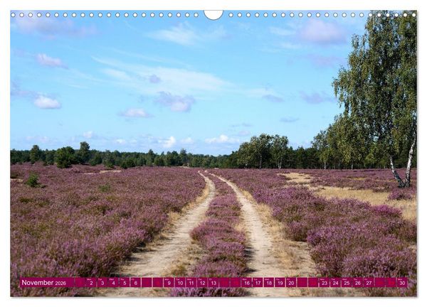 Produktbild: Just lovely - the power of pink heather blossom beauty (Wall Calendar 2026 DIN A3 landscape), CALVENDO 12 Month Wall Calendar