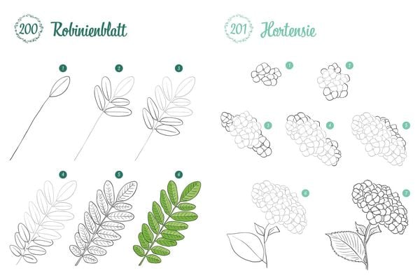 Produktbild: 300 Motive zeichnen &ndash; Botanik