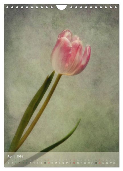 Produktbild: Blumengefl&uuml;ster (Wandkalender 2026 DIN A4 hoch), CALVENDO Monatskalender