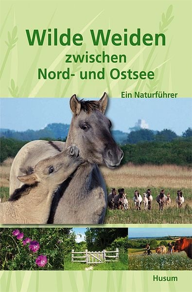 Produktbild: Wilde Weiden zwischen Nord- und Ostsee