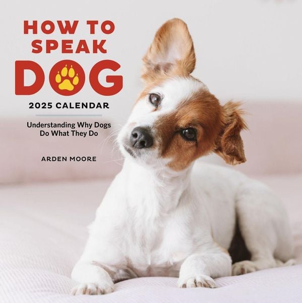 Produktbild: How to Speak Dog Wall Calendar 2025