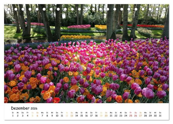 Produktbild: Auf Tour im Land der Tulpen (Tischkalender 2026 DIN A5 quer), CALVENDO Monatskalender