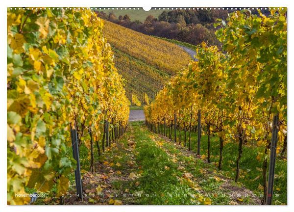Produktbild: Weinlagen in Franken (Wandkalender 2026 DIN A2 quer), CALVENDO Monatskalender