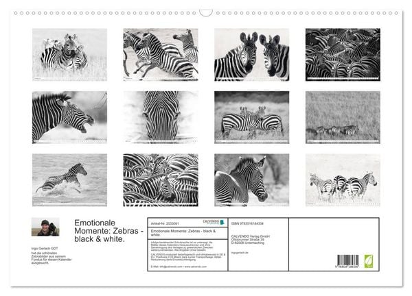 Produktbild: Emotionale Momente: Zebras - black & white. (Wandkalender 2026 DIN A2 quer), CALVENDO Monatskalender