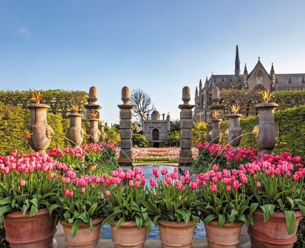 Produktbild: Englische Gartentr&auml;ume
