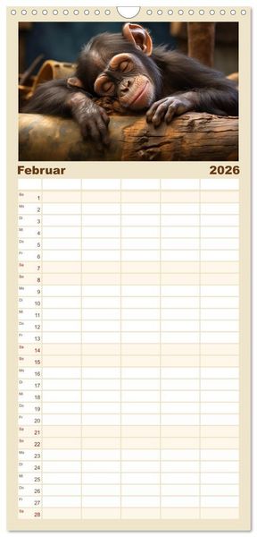 Produktbild: Familienplaner 2026 - Wenn sie schlafen... mit 5 Spalten (Wandkalender, 21 x 45 cm) CALVENDO