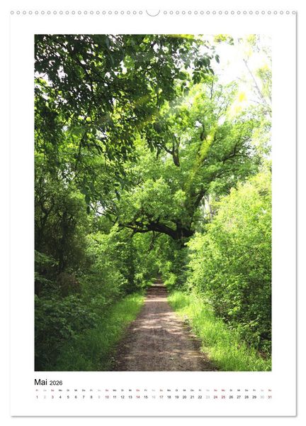 Produktbild: Mein Sehnsuchtsort, der Wald (Wandkalender 2026 DIN A2 hoch), CALVENDO Monatskalender
