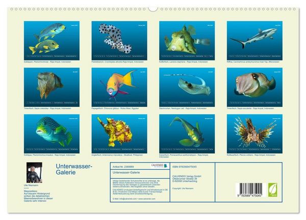 Produktbild: Unterwasser-Galerie (hochwertiger Premium Wandkalender 2027 DIN A2 quer), Kunstdruck in Hochglanz