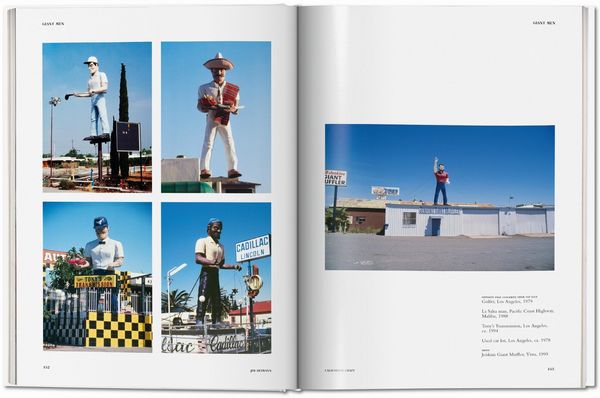 Produktbild: California Crazy