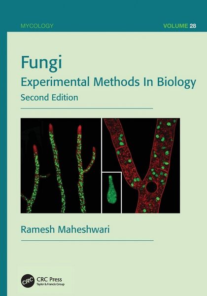 Produktbild: Fungi