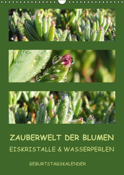 Produktbild: Zauberwelt der Blumen - Eiskristalle & Wasserperlen / Geburtstagskalender (Wandkalender immerw&auml;hrend DIN A3 hoch)