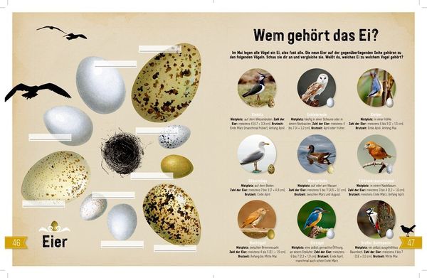 Produktbild: NATUR