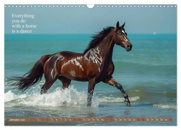 Produktbild: A Horse Makes You Complete (Wall Calendar 2026 DIN A3 landscape), CALVENDO 12 Month Wall Calendar
