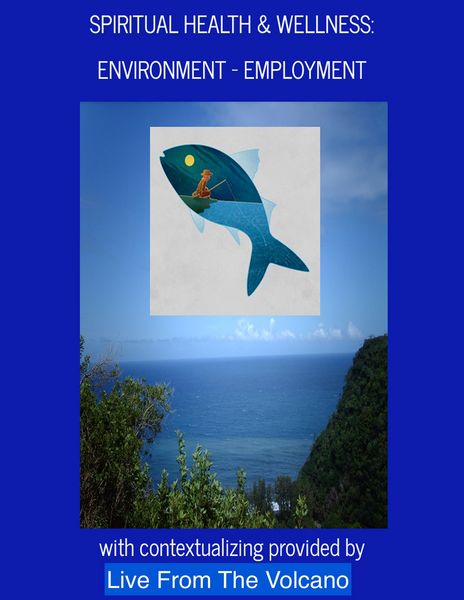 Produktbild: Spiritual Health & Wellness: "Environment - Employment"