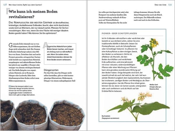 Produktbild: Wer klaut meine &Auml;pfel aus dem Garten