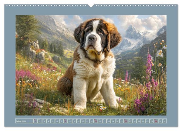 Produktbild: K&ouml;nigliche Bernhardiner. Die sanften Riesen der Alpen (hochwertiger Premium Wandkalender 2026 DIN A2 quer), Kunstdruck in Hochglanz