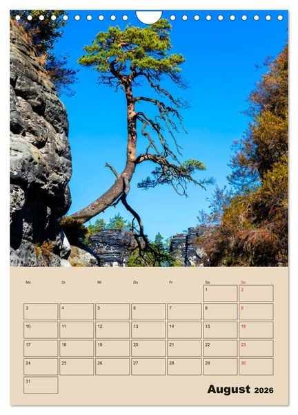 Produktbild: Zauberhafte S&auml;chsische Schweiz (Wandkalender 2026 DIN A4 hoch), CALVENDO Monatskalender