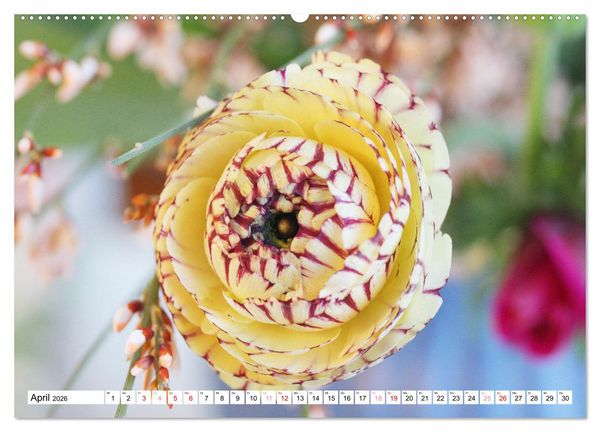 Produktbild: Blumenpracht - Bl&uuml;ten und Str&auml;u&szlig;e (hochwertiger Premium Wandkalender 2026 DIN A2 quer), Kunstdruck in Hochglanz